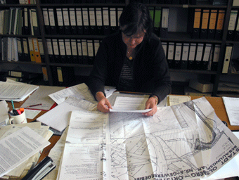 Eine Wissenschaftlerin wertet Pl�ne aus.