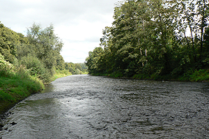 Ems in Rheine