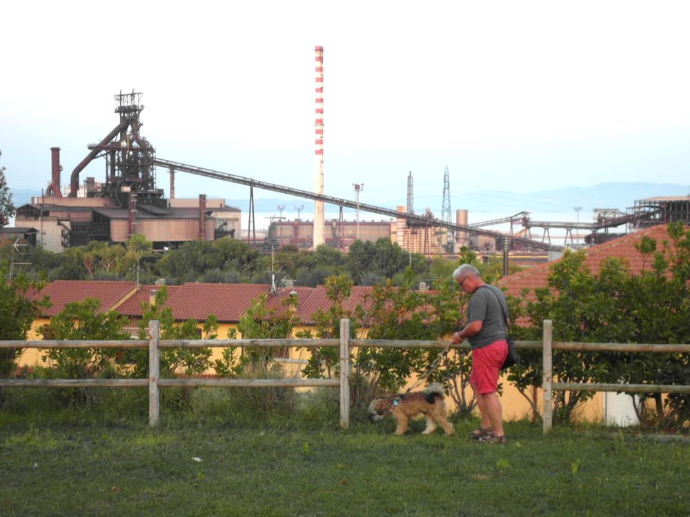 Ein Mann geht mit seinem Hund auf einer Wiese spazieren, hinter der sich die ehemalige Hütte mit dem Hochofen erhebt. (vergrößerte Bildansicht wird geöffnet)