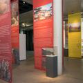 Ein Schaukasten steht zwischen den Informationsbannern der Ausstellung. (vergrößerte Bildansicht wird geöffnet)