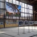 Ein großformatiges Foto hängt vor der Fensterfront einer Industriehalle, darunter sind gerahmte Bilder innerhalb der Ausstellung an der Wand oder an freistehenden Ständern angebracht. (vergrößerte Bildansicht wird geöffnet)
