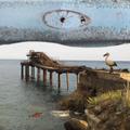 Eine Brücke ragt ins Meer hinein, aus dem Himmel blickt ein Auge auf sie herab. (vergrößerte Bildansicht wird geöffnet)