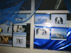 Pinguin-Poster