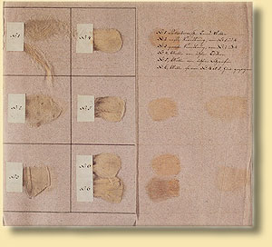 „Proben veredelter Land-Wolle“ von der Domäne Dalheim, 1804