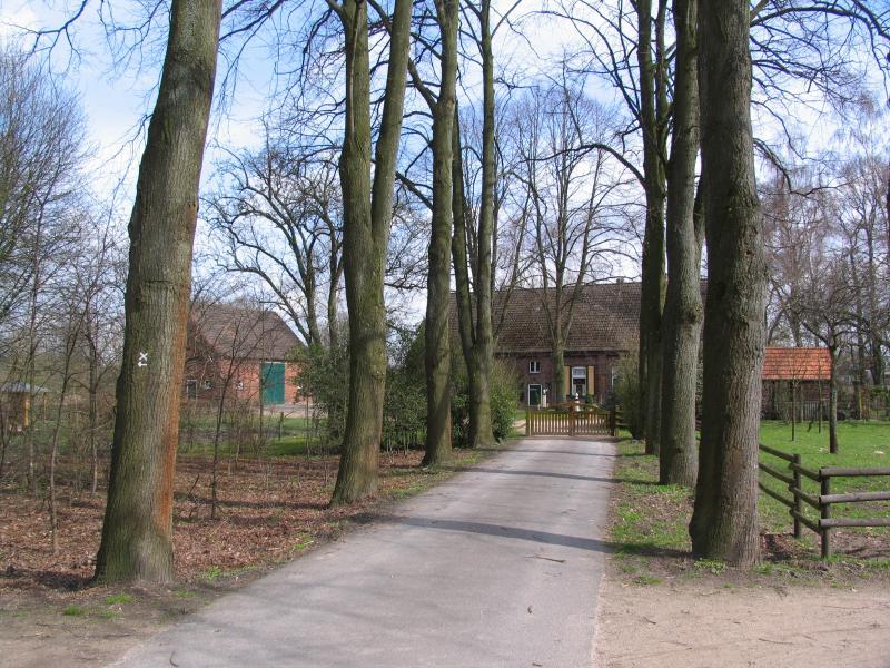 Allee zum Lindenhof in der Parkanlage.
