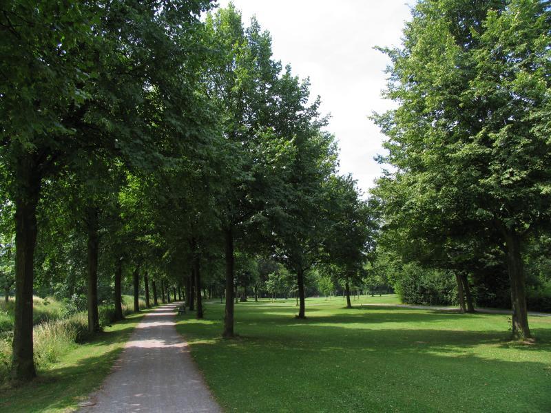 Im Prinzenpark pflanzt jeder Schützenkönig einen neuen Baum.