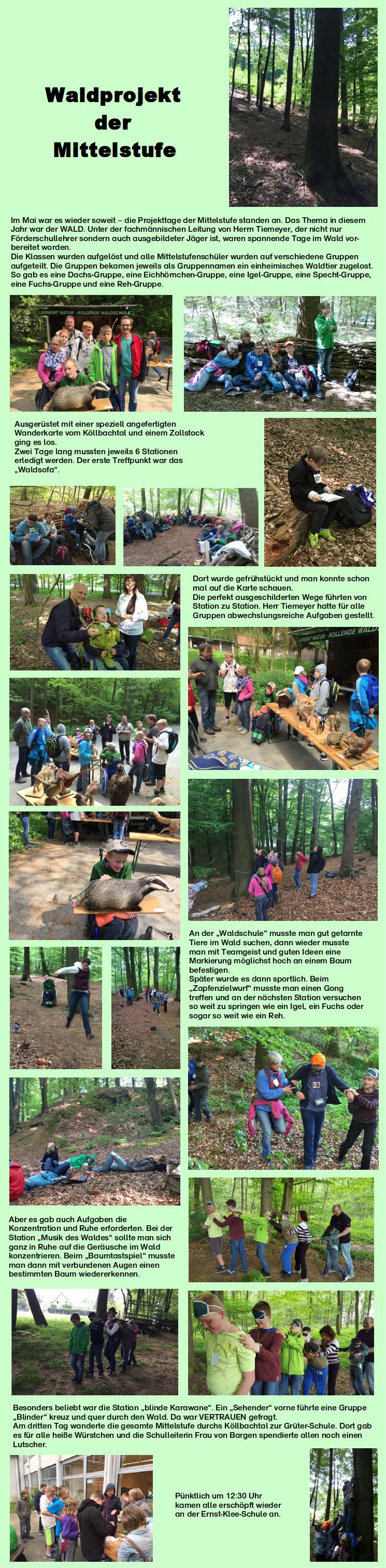 Waldprojekt