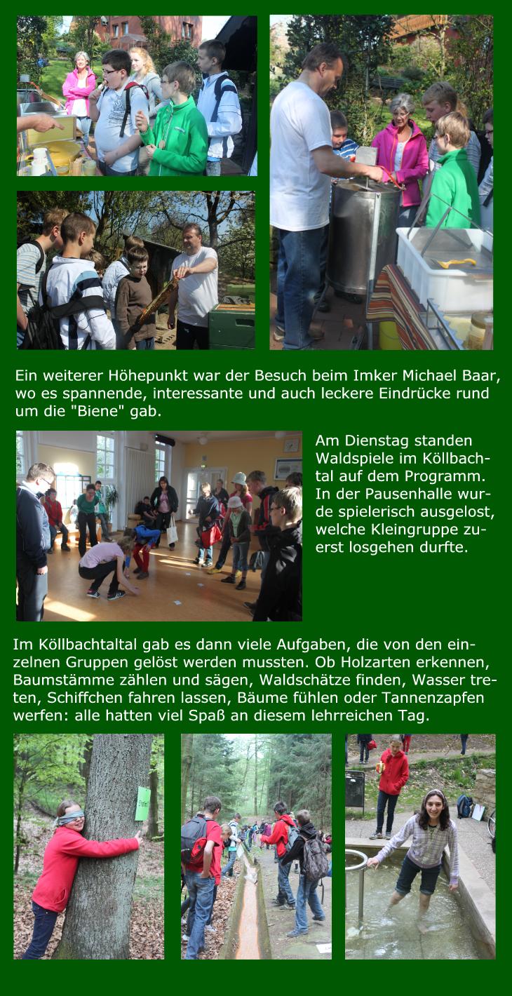 Wald 2