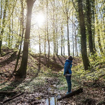 Alleskönner Wald (Verlängert bis 11.06.2023)