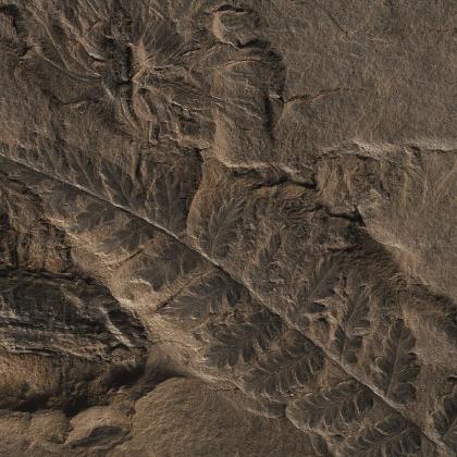 Fossil - Alles aus einem Berg 11306-70_16_9.jpg