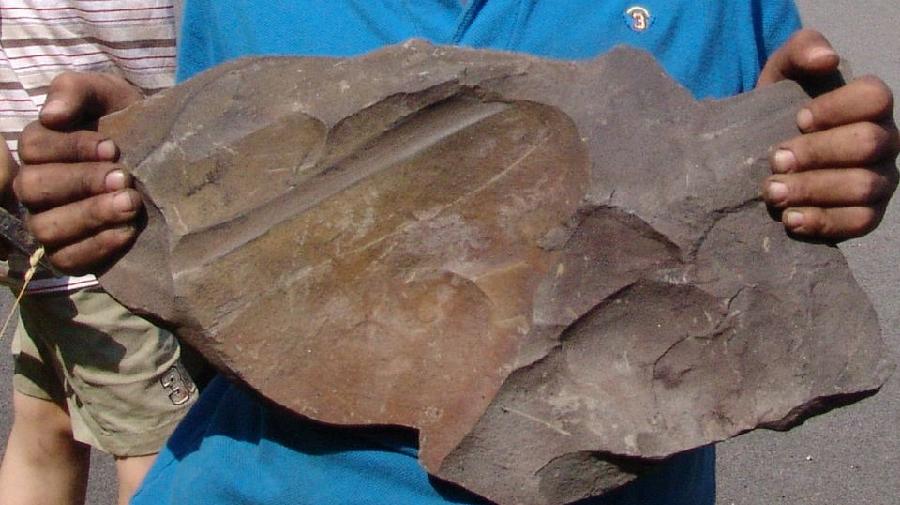 steine erzählen.jpg