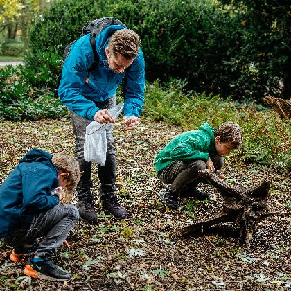 RESTKARTEN! Werkstattnachmittag Insekten | ab 8 Jahre