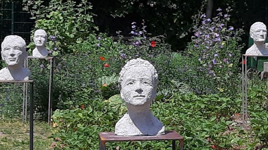 Foto Kappes, K¿ppe und Kalinen_16x9.jpg