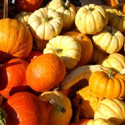 Herbstfest