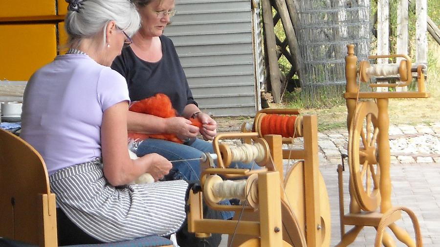 Pr 7_1843 Spinnen u F¿rben 16x9.jpg