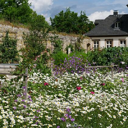 Öffentliche Führungen