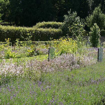 Öffentliche Führungen