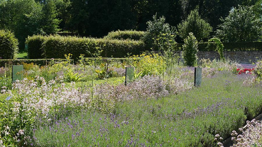 Blühende Blumen und Sträucher im Konventgarten. 
