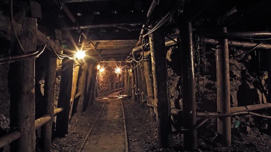 11820-Nachtigll-01-Col 16x9.jpg