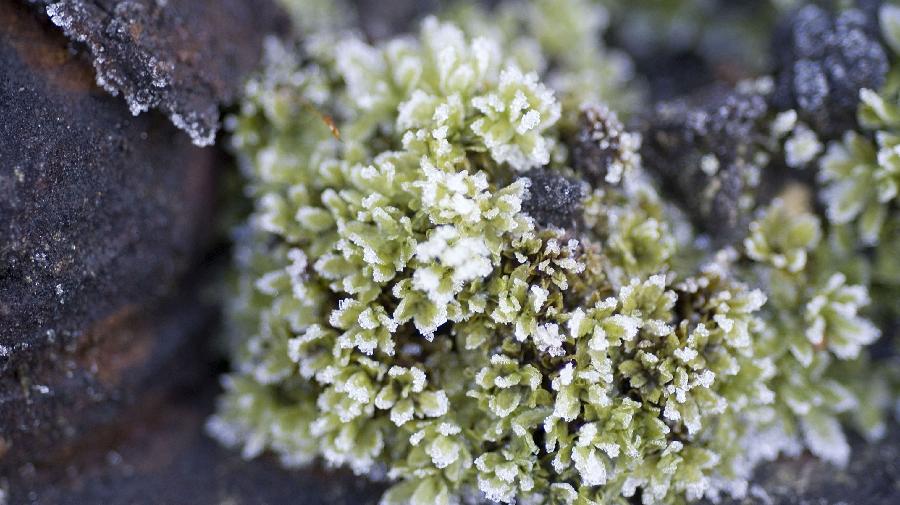 2012-12-9 ¿ko Natur kreativ (6) 16x9.jpg