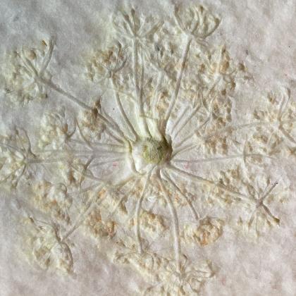 Altes Handwerk: Papierschöpfen