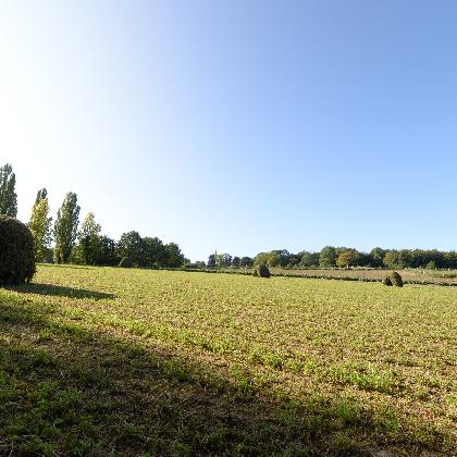 Durch Feld und Flur