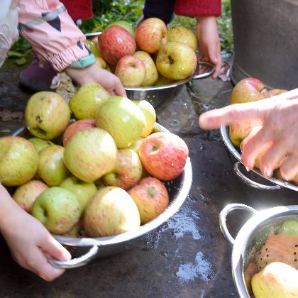 Naturbegegnungen: Saftladen geöffnet