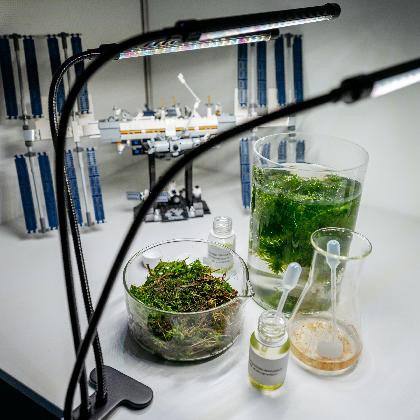 Ferienprogramm im LWL-Museum für Naturkunde