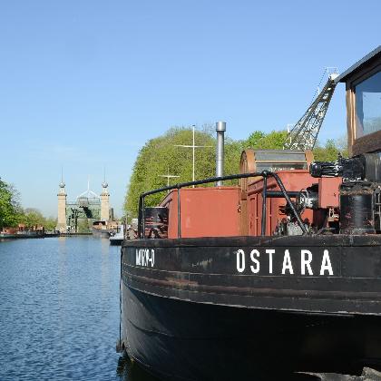 Von Nixe, Ostara und Cerberus