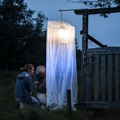 Artenakademie - Das große Leuchten im Venner Moor
