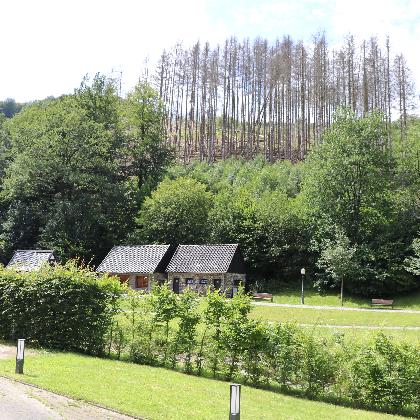 Naturkundeführung
