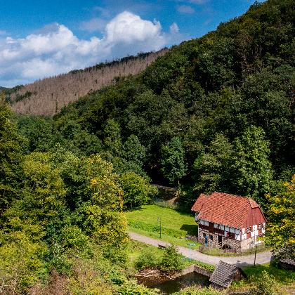 Naturkundeführung