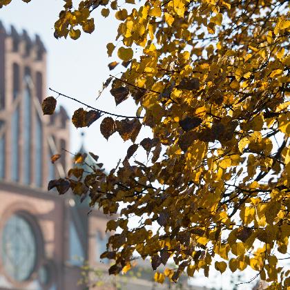 Industriekathedrale