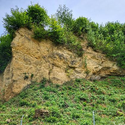 Artenakademie - Wanderung durch das Naturschutzgebiet Doberg