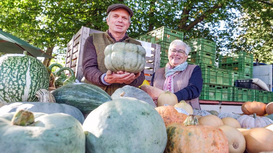 Ein Mann hällt einen Kürbis hoch, vor einem vollbeladenen Karren mit Kürbissen.