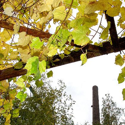 Der Grüne Weg der Industrienatur