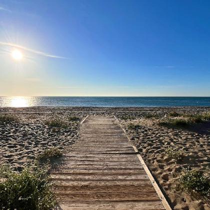 Themenabend: Mythos Spanien: Sonne, Strand und ... Picasso
