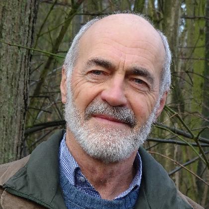 Alleskönner Wald - aber auch noch im Klimastress?