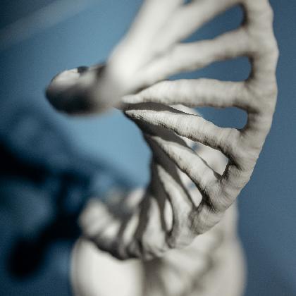 Was heißt eigentlich genetisch oder entfernt verwandt?