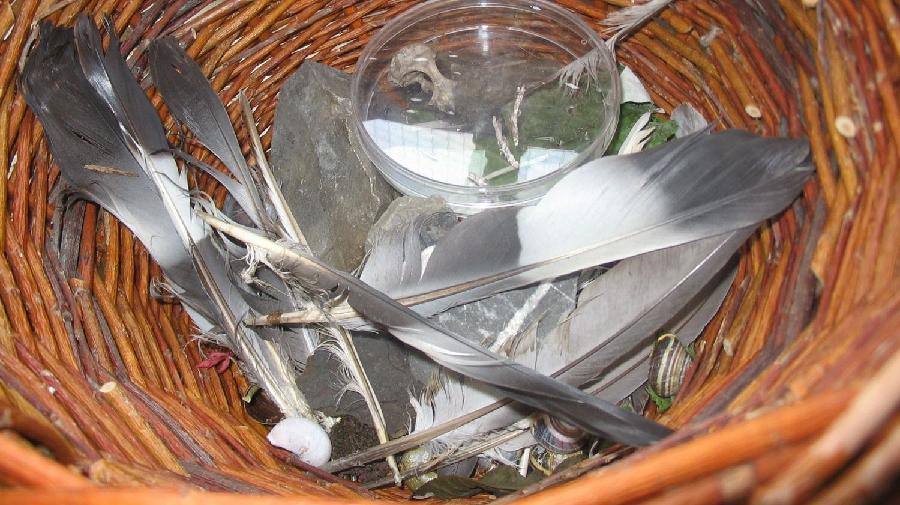 Federn und F¿hrten 16x9.jpg