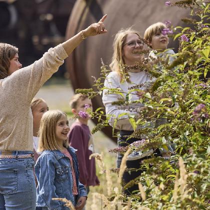 Der Grüne Weg der Industrienatur
