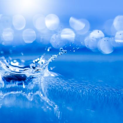 Workshop Leben im Wassertropfen | ab 8 Jahre