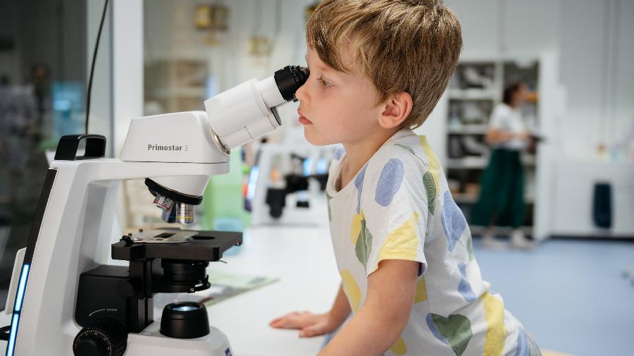 Ein Junge schaut durch ein Mikroskop.