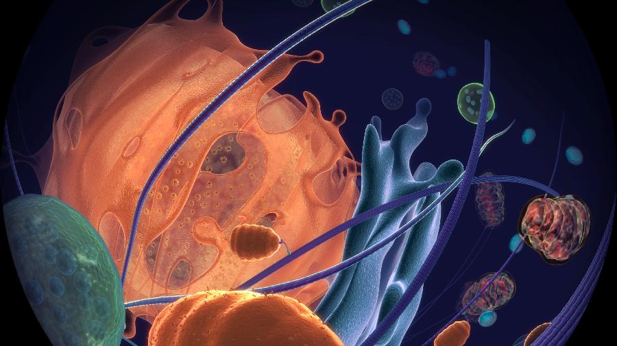 Die Darstellung einer Zelle von innen.