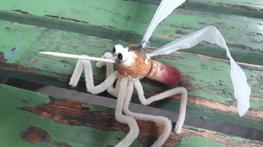 Zecheninsekten 16x9.jpg