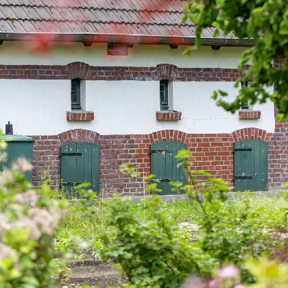 Blick über den Gartenzaun