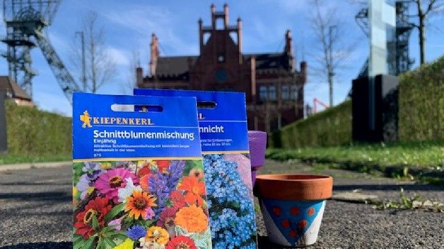 Blument¿pfe vor der AV 16x9.jpg