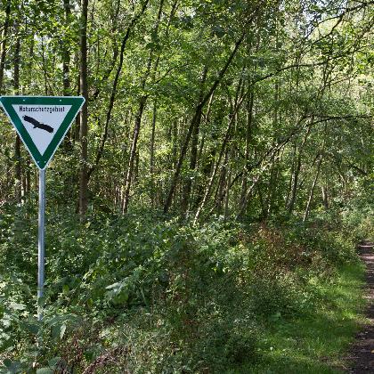 Führung über die Halde Zollern