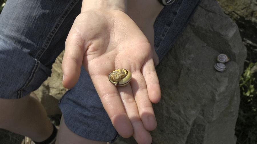 10722 - 046 16x9.jpg