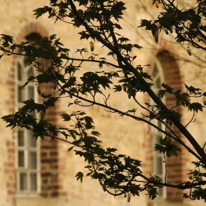 Sensation im Naturschutzgebiet Ruhraue
